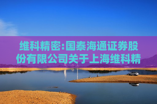 维科精密:国泰海通证券股份有限公司关于上海维科精密模塑股份有限公司使用部分超募资金永久补充流动资金的核查意见