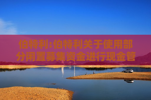 伯特利:伯特利关于使用部分闲置募集资金进行现金管理的公告