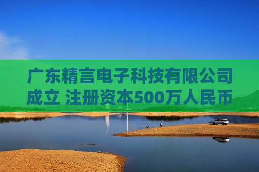 广东精言电子科技有限公司成立 注册资本500万人民币