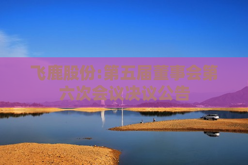 飞鹿股份:第五届董事会第六次会议决议公告