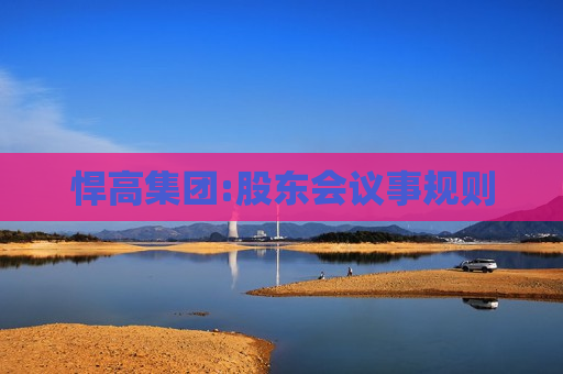 悍高集团:股东会议事规则