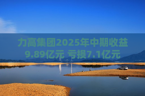 力高集团2025年中期收益9.89亿元 亏损7.1亿元