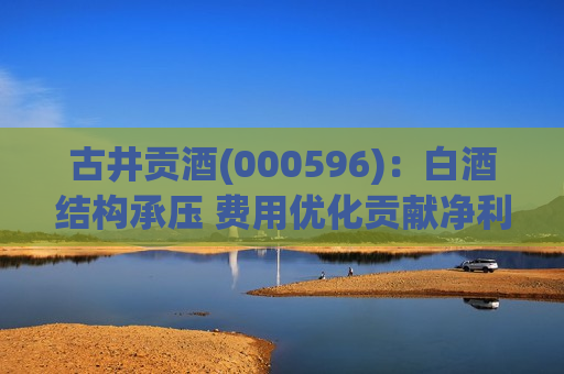 古井贡酒(000596)：白酒结构承压 费用优化贡献净利率提升