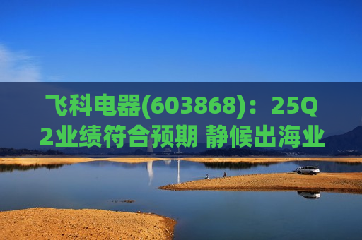 飞科电器(603868)：25Q2业绩符合预期 静候出海业务放量