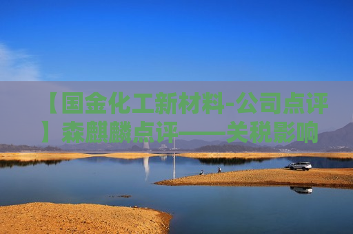 【国金化工新材料-公司点评】森麒麟点评——关税影响，业绩阶段性承压（2025-08-30）