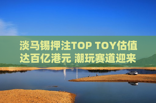 淡马锡押注TOP TOY估值达百亿港元 潮玩赛道迎来双雄争霸