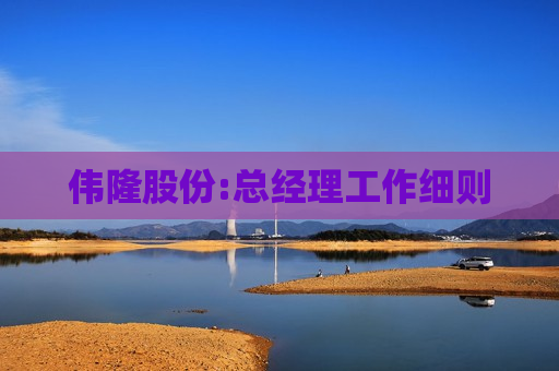 伟隆股份:总经理工作细则