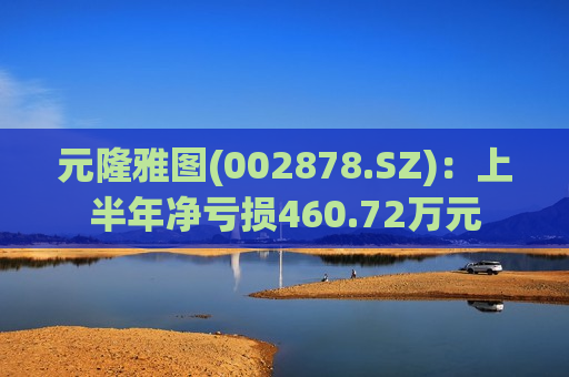 元隆雅图(002878.SZ)：上半年净亏损460.72万元