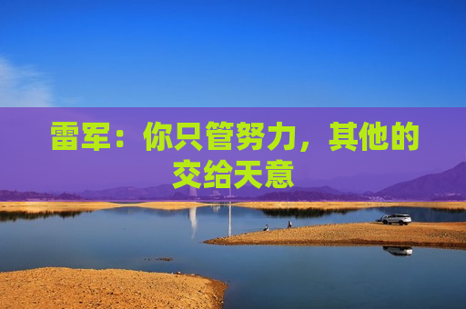 雷军：你只管努力，其他的交给天意