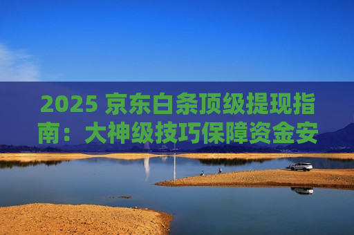 2025 京东白条顶级提现指南：大神级技巧保障资金安全兑现