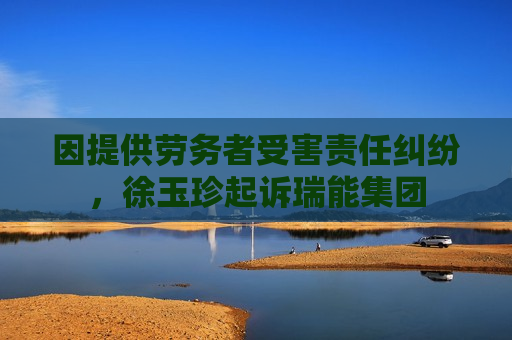 因提供劳务者受害责任纠纷，徐玉珍起诉瑞能集团