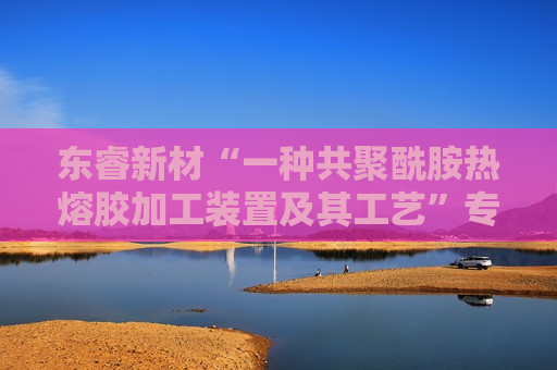 东睿新材“一种共聚酰胺热熔胶加工装置及其工艺”专利获授权