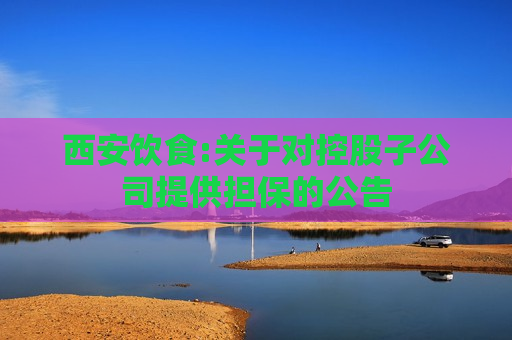 西安饮食:关于对控股子公司提供担保的公告