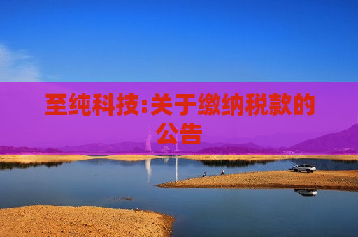 至纯科技:关于缴纳税款的公告