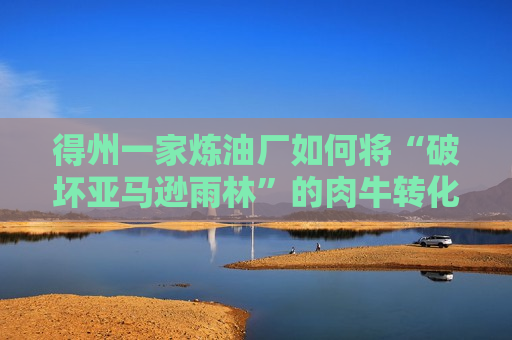 得州一家炼油厂如何将“破坏亚马逊雨林”的肉牛转化为“绿色”航空燃油