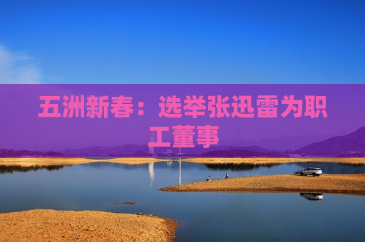 五洲新春：选举张迅雷为职工董事