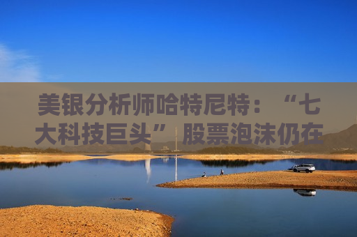 美银分析师哈特尼特：“七大科技巨头” 股票泡沫仍在扩大