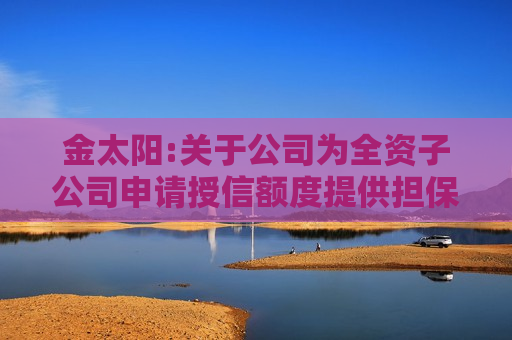金太阳:关于公司为全资子公司申请授信额度提供担保的进展公告