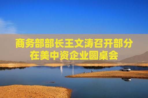 商务部部长王文涛召开部分在美中资企业圆桌会