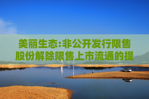 美丽生态:非公开发行限售股份解除限售上市流通的提示性公告