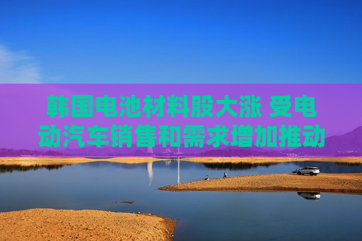 韩国电池材料股大涨 受电动汽车销售和需求增加推动