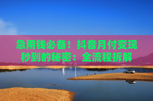 急用钱必备！抖音月付变现秒到的秘密：全流程拆解