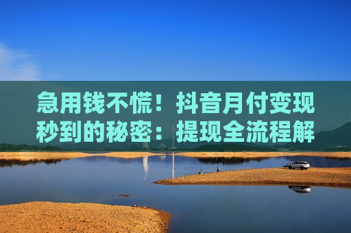 急用钱不慌!抖音月付变现秒到的秘密:提现全流程解析 急用钱不慌!抖音月付变现秒到的秘密:提现全流程解析