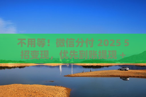 不用等！微信分付 2025 5 招变现，优先到账提现 + 0.5 秒到卡​