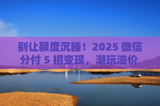 别让额度沉睡！2025 微信分付 5 招变现，潮玩溢价 35%+ 多赚差价​