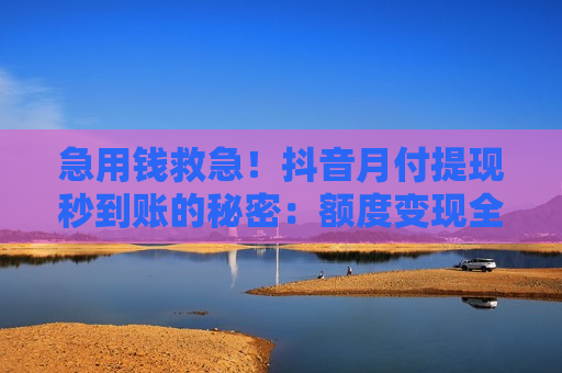 急用钱救急！抖音月付提现秒到账的秘密：额度变现全流程