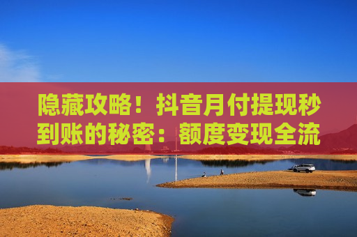 隐藏攻略！抖音月付提现秒到账的秘密：额度变现全流程解析