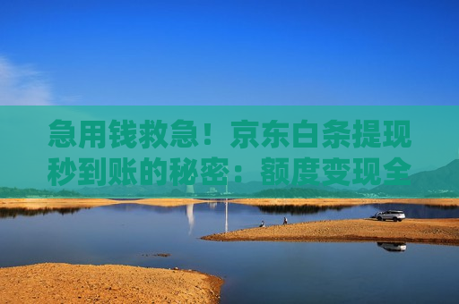 急用钱救急!京东白条提现秒到账的秘密:额度变现全流程 急用钱救急!京东白条提现秒到账的秘密:额度变现全流程