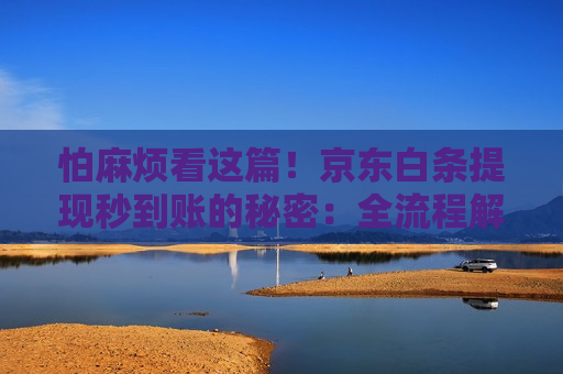 怕麻烦看这篇!京东白条提现秒到账的秘密:全流程解析 怕麻烦看这篇!京东白条提现秒到账的秘密:全流程解析