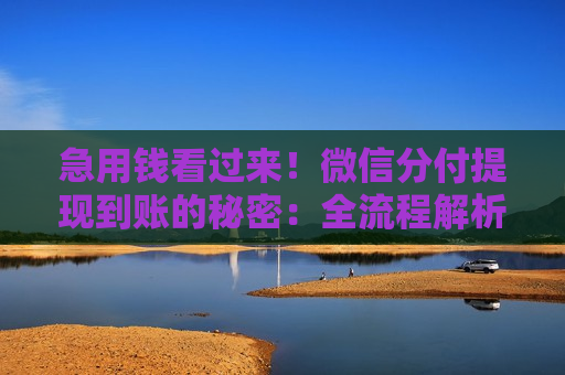 急用钱看过来!微信分付提现到账的秘密:全流程解析 急用钱看过来!微信分付提现到账的秘密:全流程解析