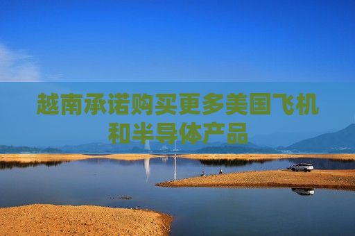 越南承诺购买更多美国飞机和半导体产品