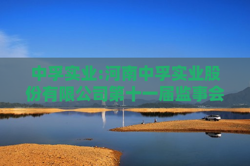 中孚实业:河南中孚实业股份有限公司第十一届监事会第八次会议决议公告