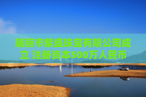 瑞丽市紫盛珠宝有限公司成立 注册资本500万人民币