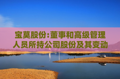 宝莫股份:董事和高级管理人员所持公司股份及其变动管理制度（2025年10月修订）