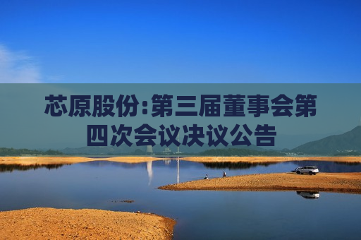 芯原股份:第三届董事会第四次会议决议公告
