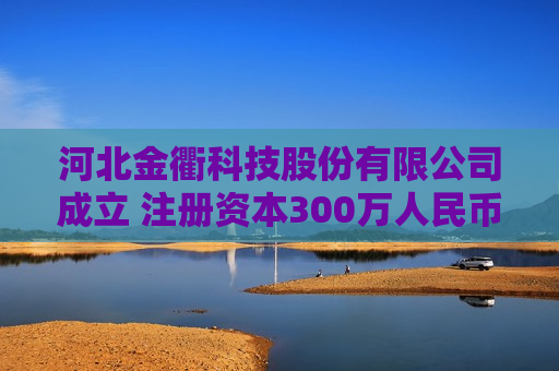 河北金衢科技股份有限公司成立 注册资本300万人民币