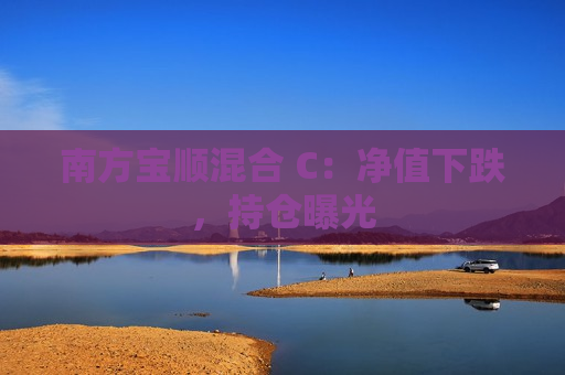 南方宝顺混合 C：净值下跌，持仓曝光