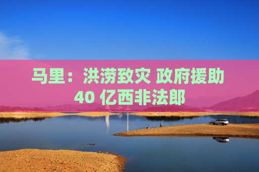 马里：洪涝致灾 政府援助 40 亿西非法郎