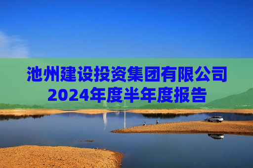 池州建设投资集团有限公司2024年度半年度报告
