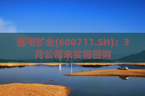 盛屯矿业(600711.SH)：3月公司未实施回购