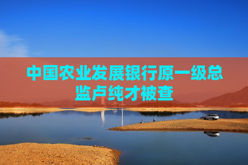 中国农业发展银行原一级总监卢纯才被查