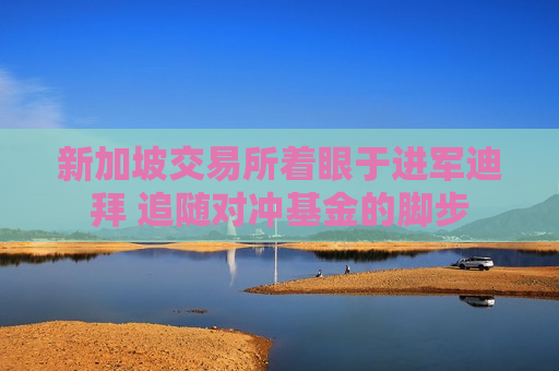 新加坡交易所着眼于进军迪拜 追随对冲基金的脚步