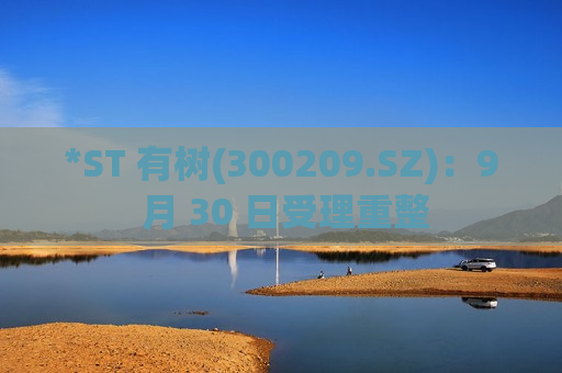 *ST 有树(300209.SZ)：9 月 30 日受理重整
