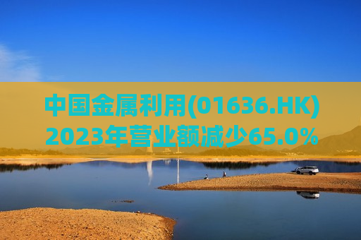 中国金属利用(01636.HK)2023年营业额减少65.0%至8.38亿元