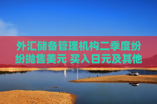外汇储备管理机构二季度纷纷抛售美元 买入日元及其他货币