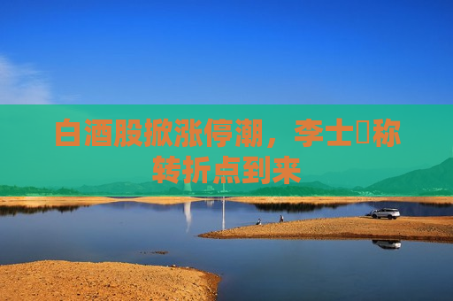 白酒股掀涨停潮，李士祎称转折点到来